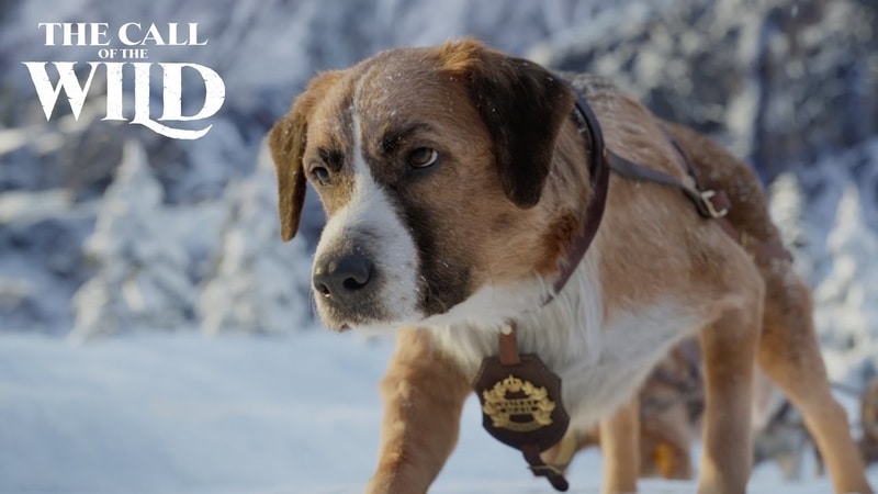 The Call Of The Wild Full Movie Download