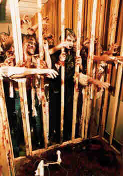 Cage Kill