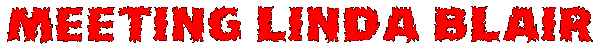 meetlb.bmp (93032 bytes)