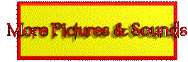 mps.gif (9313 bytes)